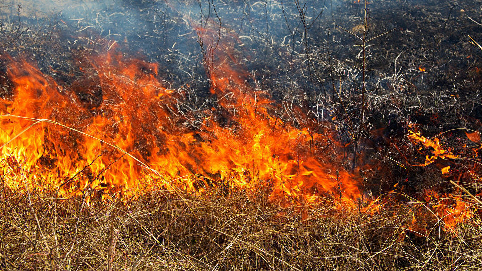 В Запорожской области за последние сутки спасатели ликвидировали шесть пожаров на открытой местности