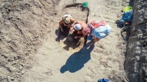 Запорожские археологи обнаружили уникальное захоронение – ФОТО, ВИДЕО
