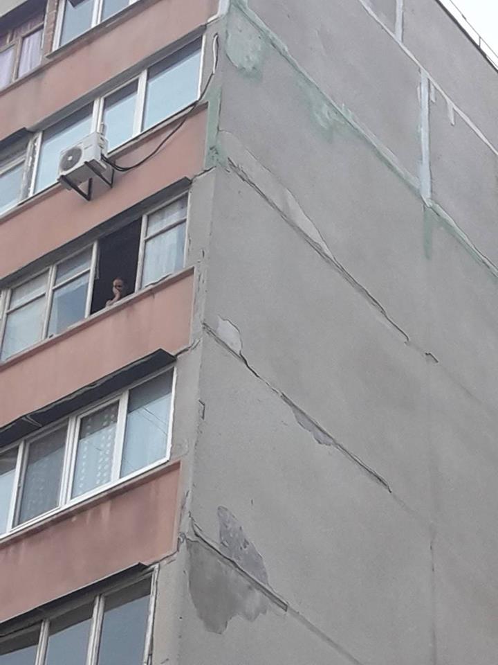 В Запорожье завели уголовное дело на женщину, выбросившую собаку с седьмого этажа - ФОТО