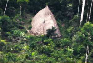 В Бразилии обнаружили затерянное племя дикарей - ФОТО, ВИДЕО