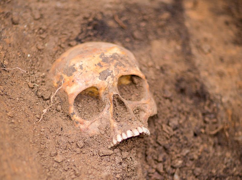 В Запорожье на пустыре обнаружили скелет человека - ВИДЕО (18+)