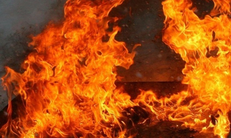 В Запорожской области горел частный жилой дом: погибла женщина