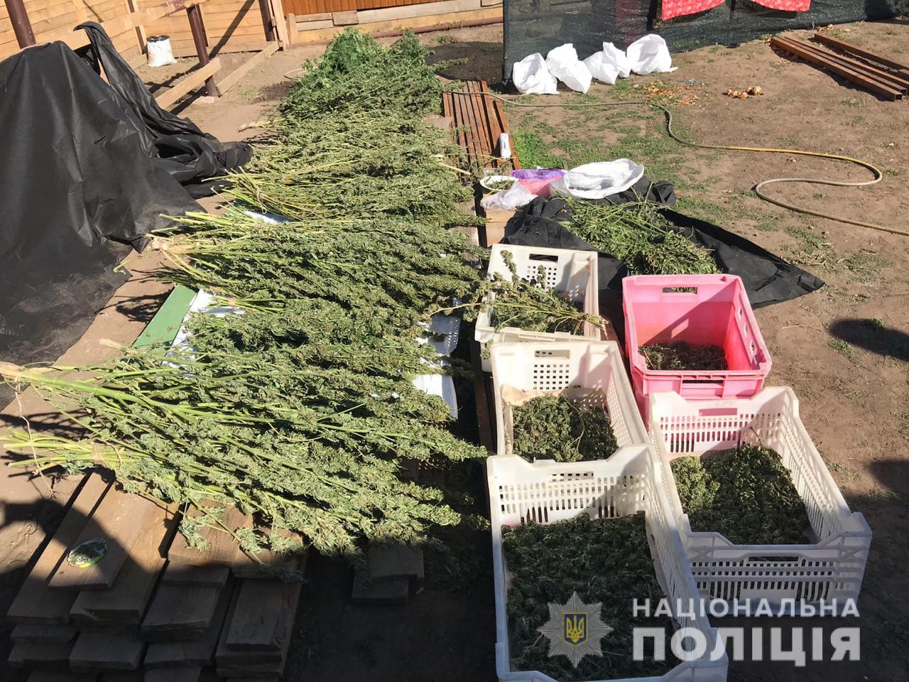 В Запорожском районе во время обысков изъяли наркотиков на 2 миллиона гривен - ФОТО, ВИДЕО