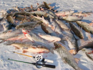 В Запорожской области с ноября действует запрет на рыбалку в зимовальных ямах