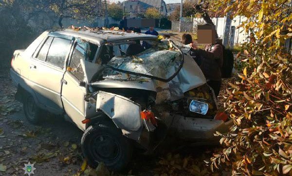 В Запорожье легковушка врезалась в дерево: водителю стало плохо за рулем - ФОТО