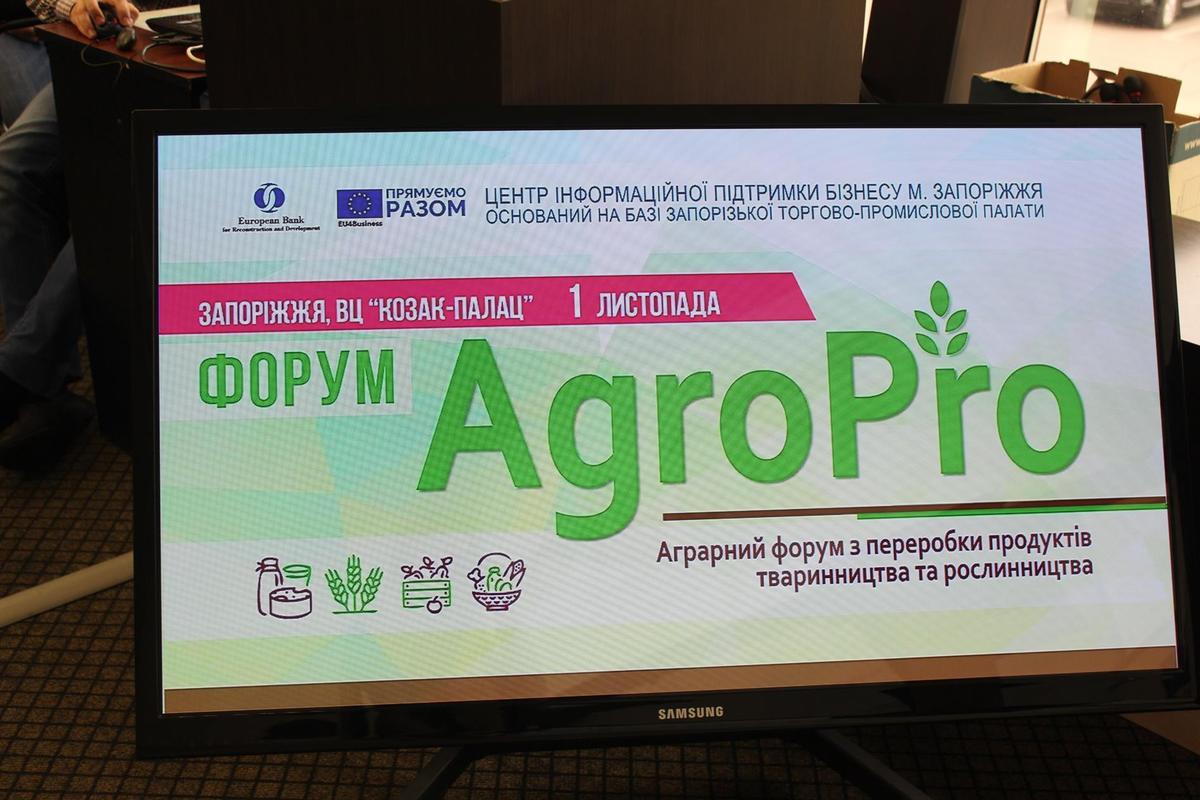 В Запорожье обсудили, как запорожским предпринимателям из агросектора выйти на украинские и международные рынки   - ФОТО