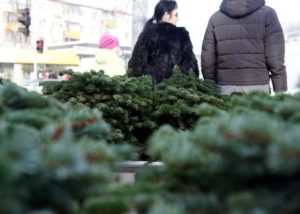 Житель Запорожья спилил елку в городском парке, чтобы донести ее до дому, но был остановлен полицейскими – ФОТО
