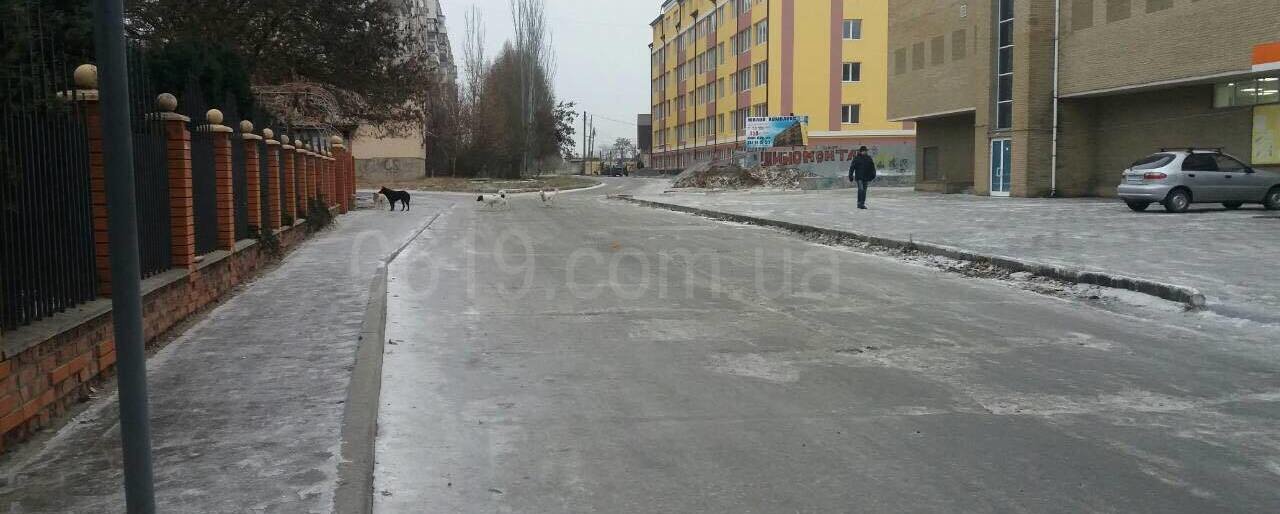 В Запорожской области бездомные собаки напали на местного жителя - ФОТО