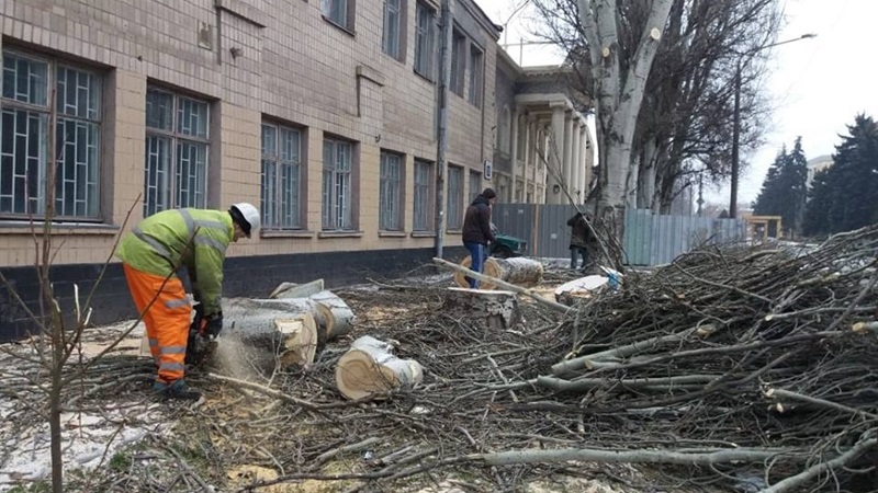 В Александровском районе Запорожья удаляют аварийные деревья
