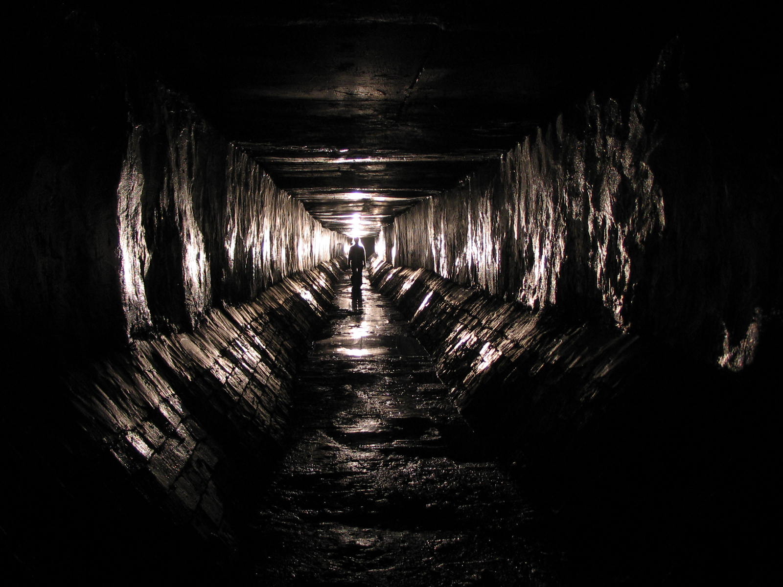 Темнота и компьютерная техника: что увидели запорожские диггеры в подземном складе - ВИДЕО