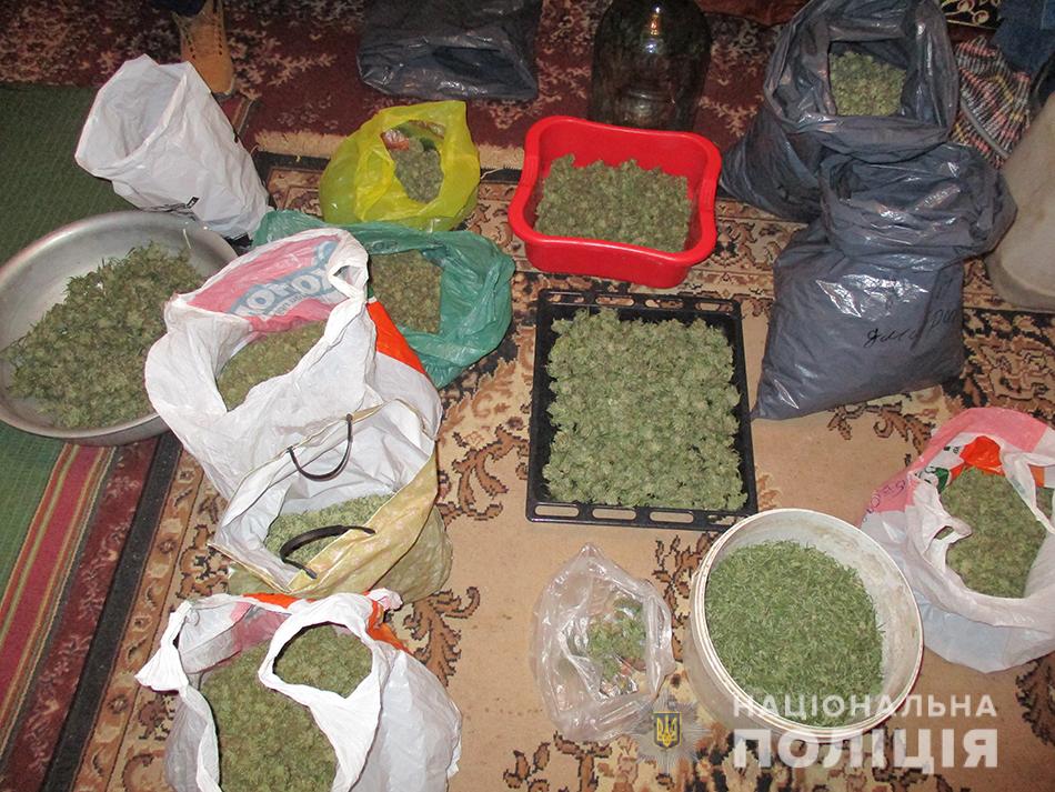 У жителя Запорожской области нашли дома 20 килограмм наркотиков - ФОТО