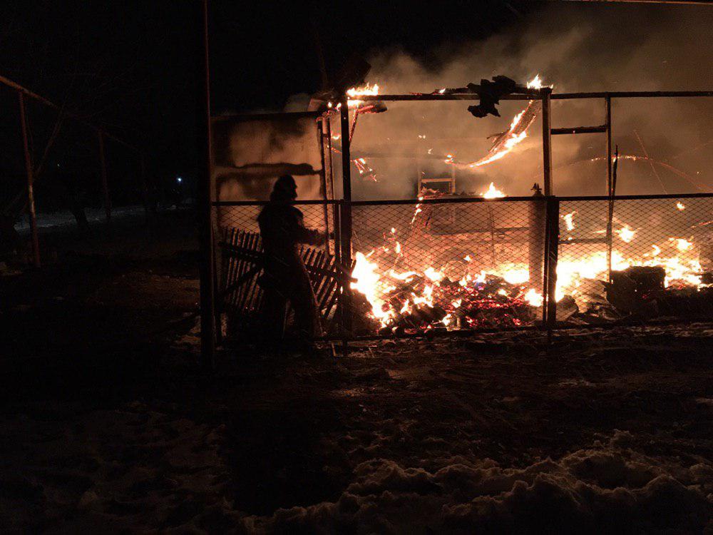 В Запорожской области огнем охватило гараж с тремя автомобилями - ФОТО