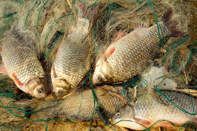 В Запорожском районе поймали браконьера, выловившего 15 килограмм рыбы
