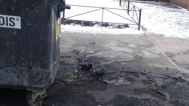 В Запорожье вандалы сожгли одиннадцать мусорных контейнеров