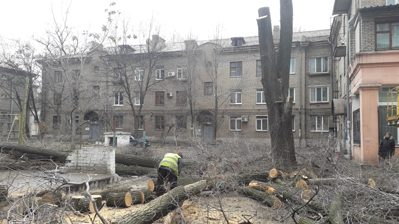 В Днепровском районе Запорожья проводят кронирование старых деревьев