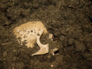Археологи обнаружили на острове Сицилия могилу мужчины, которого предки окрестили «вампиром»