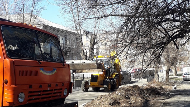 В Днепровском районе Запорожья удалят 130 аварийных деревьев