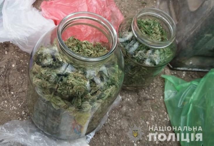 У жителя Запорожской области изъяли 1,5 килограмма каннабиса и оружие - ФОТО