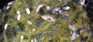 На Каховском водохранилище поймали браконьера, выловившего 47 килограммов рыбы - ФОТО