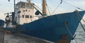 В Азовском море незаконно выловили 3,5 тонны рыбы - ФОТО, ВИДЕО