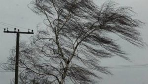 Запорожцев предупреждают об ухудшении погоды: гроза и шквальный ветер