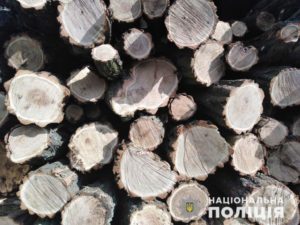 В Запорожской области задержали грузовик с древесиной без документов - ФОТО