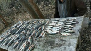 В Запорожской области на водохранилище задержали браконьера - ФОТО