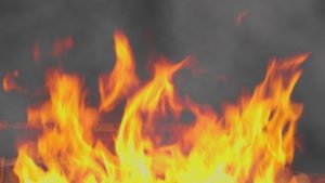 У Запорізькій області вночі гасили пожежу на території приватного будинку – ФОТО