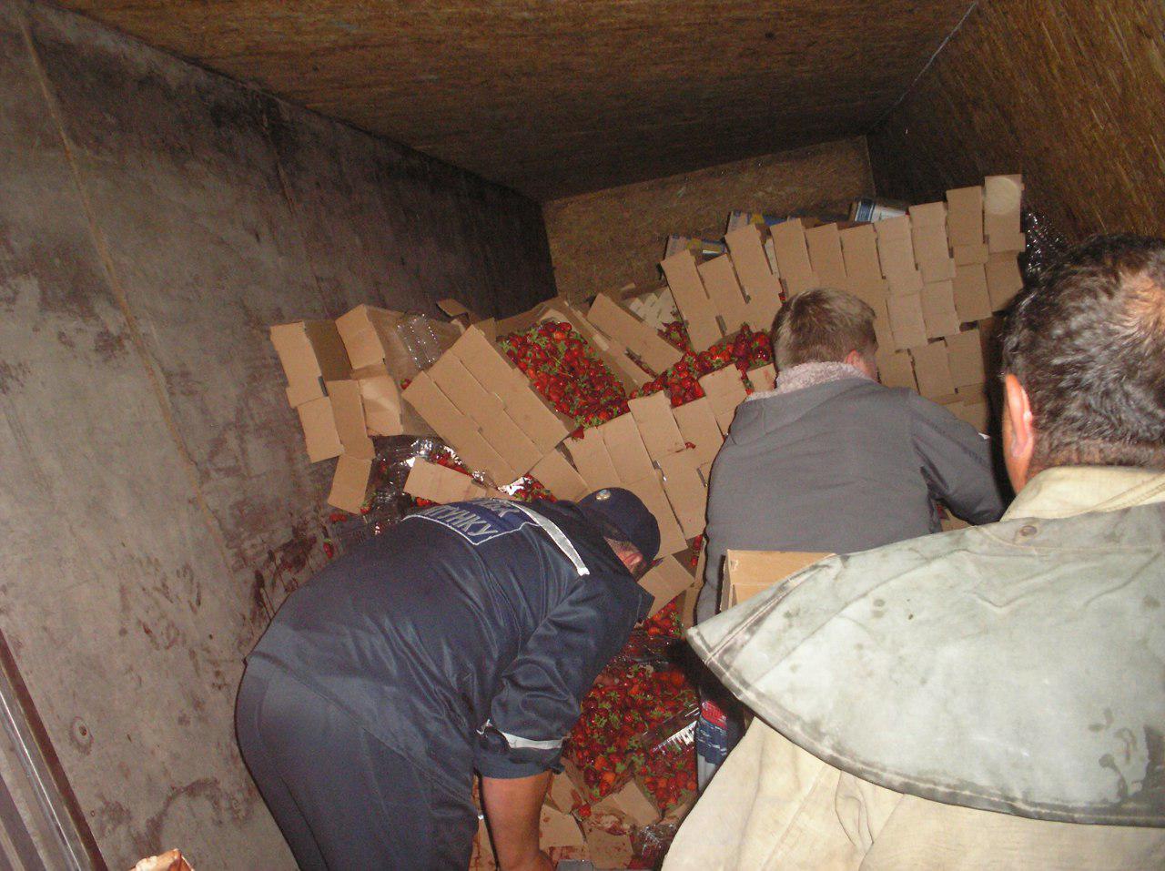В Запорожской области перевернулась фура с пятью тоннами клубники - ФОТО