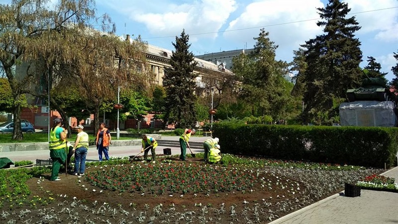 В запорожском сквере высадили более 6,5 тысячи цветов - ФОТО