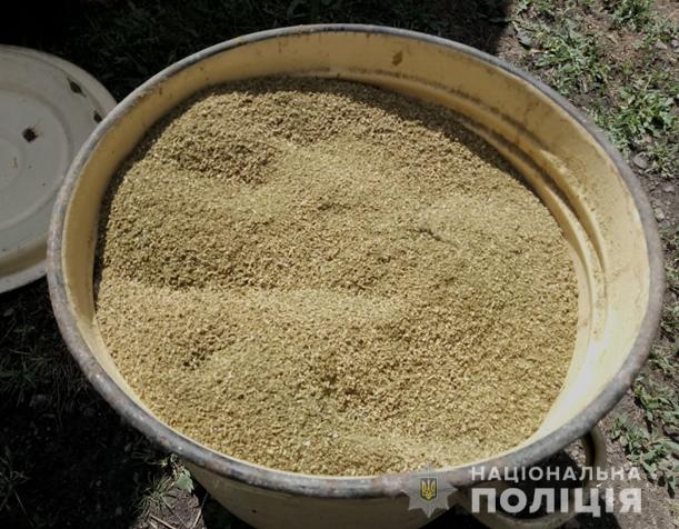 Сельский наркобарон: у жителя Запорожской области изъяли 4 килограмма марихуаны - ФОТО