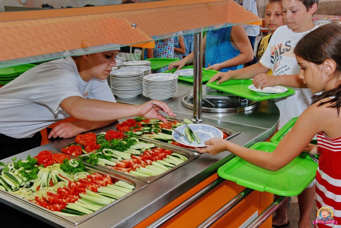 В Запорожской области ревизоры обнаружили в 8 детских лагерях нарушения в организации питания