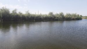 Опасное место: в Запорожской области в озере утонул 20-летний парень - ФОТО