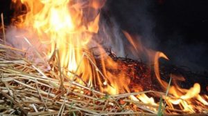 В Запорожской области горела хозпостройка с сеном – ФОТО