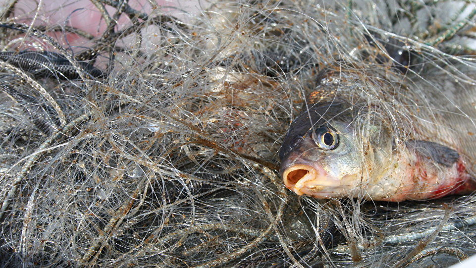 На Каховському водосховищі затримали браконьєрів, що виловили 35 кілограмів риби – ФОТО