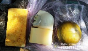 У жителя Запорожской области обнаружили гранату, тротиловую шашку и взрыватель - ФОТО