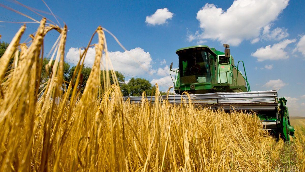Запорожские аграрии собрали 2,5 миллиона тонн зерна