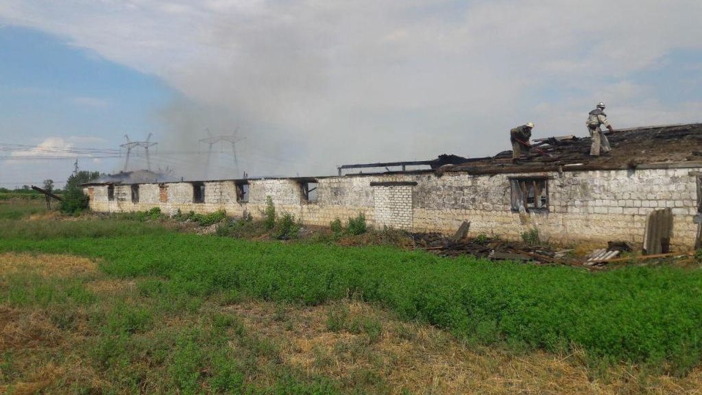 У Запорізькій області горіла ферма: пожежні врятували поголів'я свиней - ФОТО