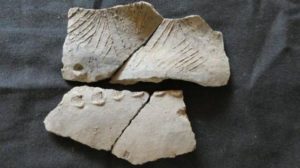 Археологи обнаружили в Эквадоре следы древней неизвестной цивилизации