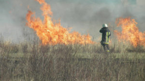 В Запорожье и области сохраняется состояние пожарной опасности