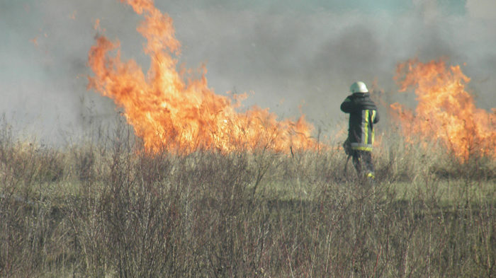 В Запорожье и области сохраняется состояние пожарной опасности