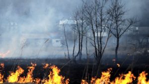За сутки запорожские спасатели ликвидировали 4 пожара в экосистемах