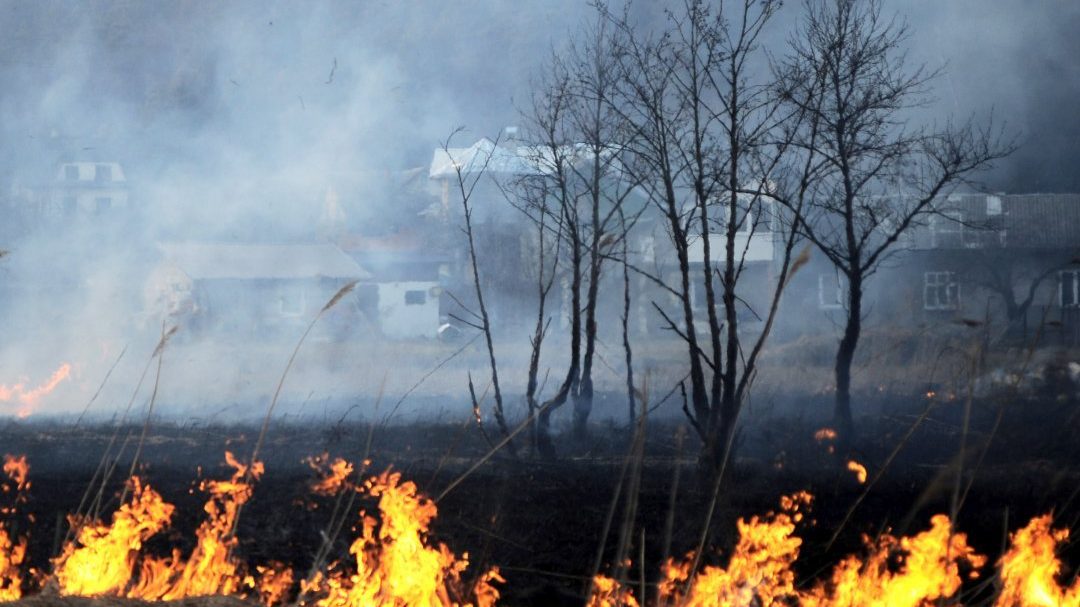 За добу запорізькі рятувальники ліквідували 4 пожежі в екосистемах