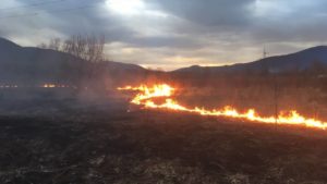 За сутки спасатели ликвидировали 25 пожаров в экосистемах Запорожья и области