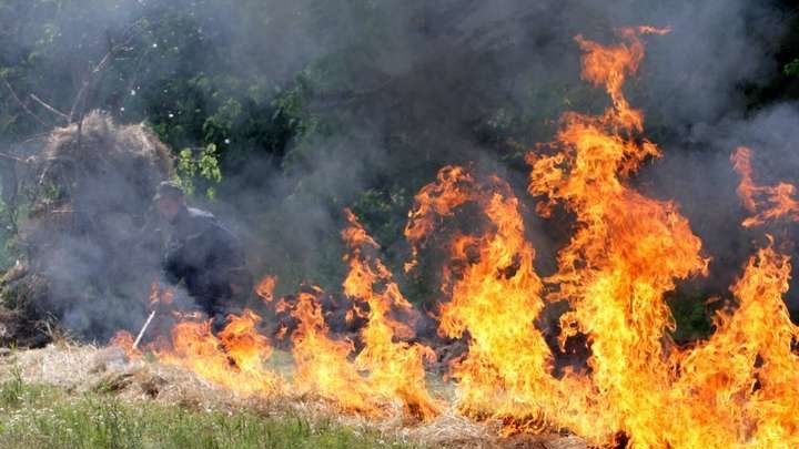 За последние сутки в Запорожской области произошло 29 пожаров на открытых территориях