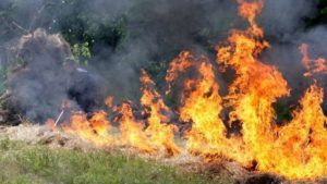 За останню добу рятувальники ліквідували 24 пожежі в екосистемах