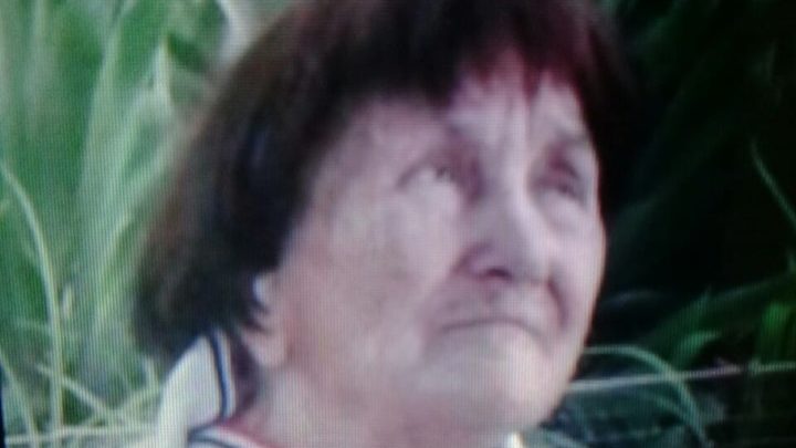 В Запорожье исчезла пожилая женщина (ФОТО)