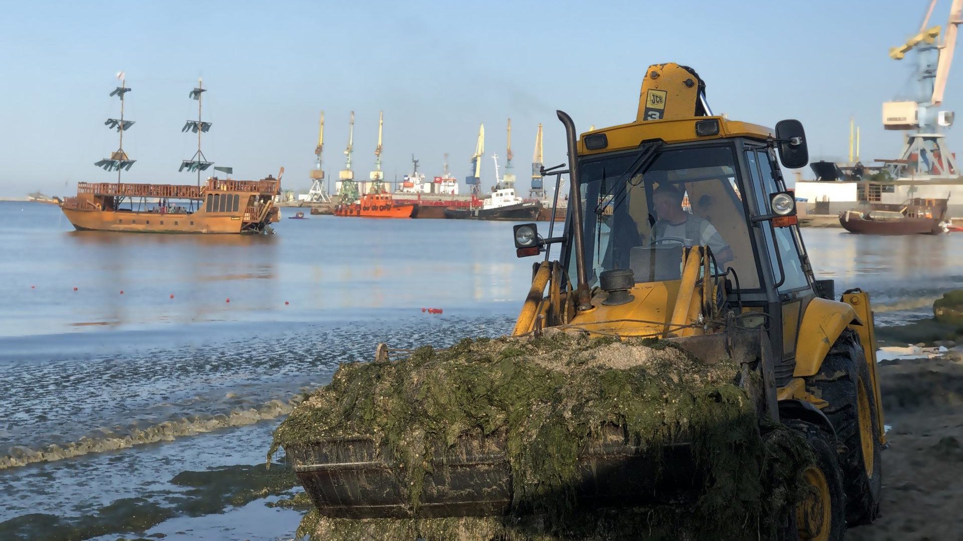 У Запорізькій області за перший тиждень серпня з пляжів вивезли більше 100 тонн водоростей