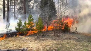 Літо не закінчилося: в Запорізькій області зберігається високий рівень пожежної небезпеки