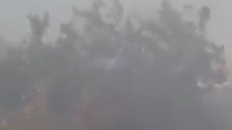В Запорожской области из-за пожара одну из улиц окутал дым: жителям трудно дышать - ВИДЕО